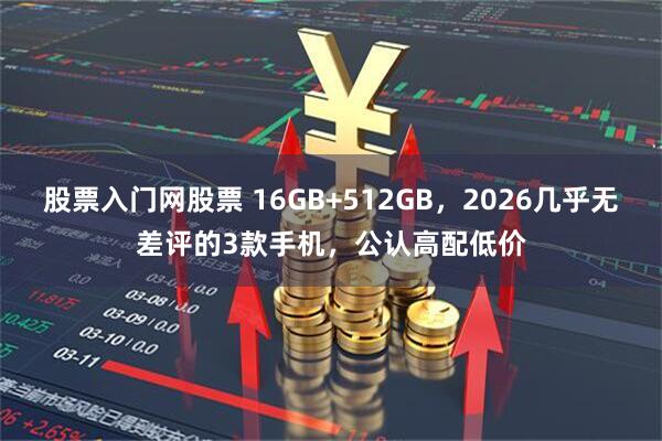 股票入门网股票 16GB+512GB，2026几乎无差评的3款手机，公认高配低价