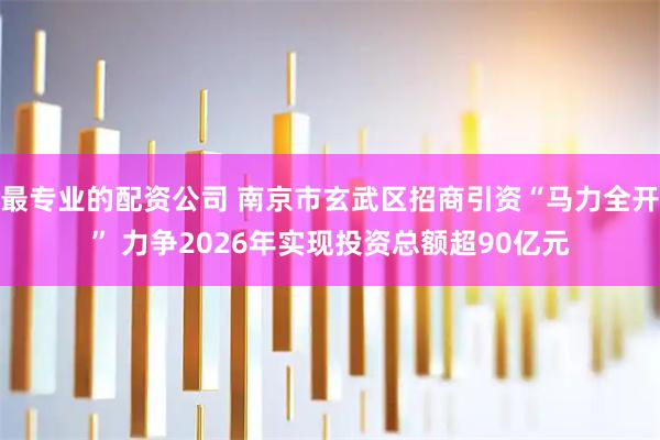 最专业的配资公司 南京市玄武区招商引资“马力全开” 力争2026年实现投资总额超90亿元
