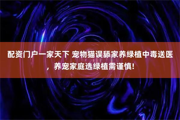 配资门户一家天下 宠物猫误舔家养绿植中毒送医，养宠家庭选绿植需谨慎!